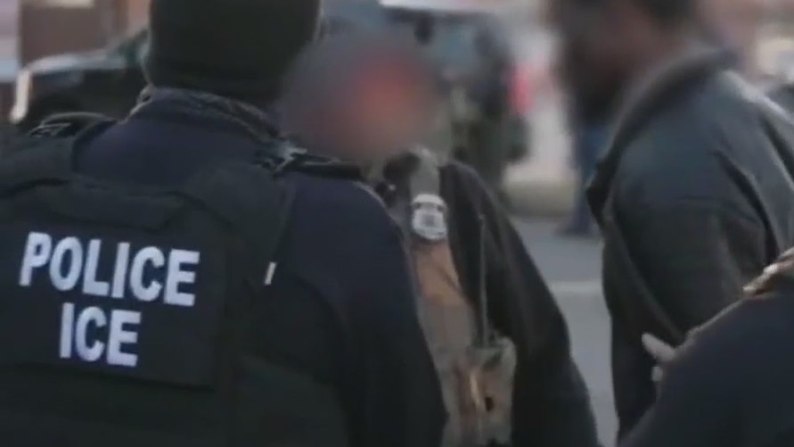 Hays County immigration raids