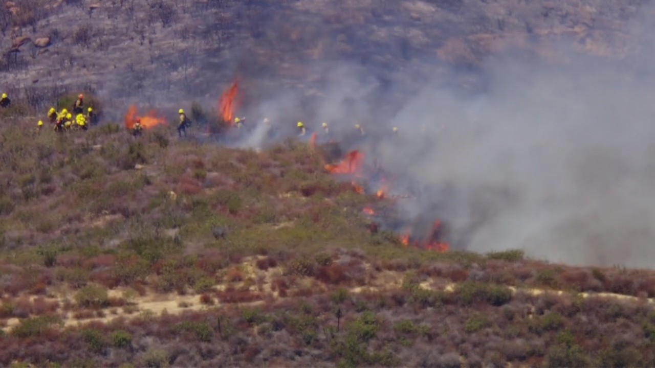 Castaic brush fire burns near 5 Freeway