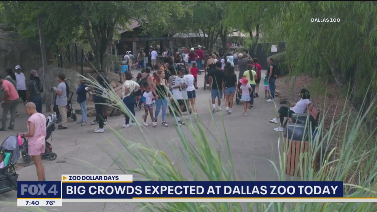 Big crowds expected at Dallas Zoo today