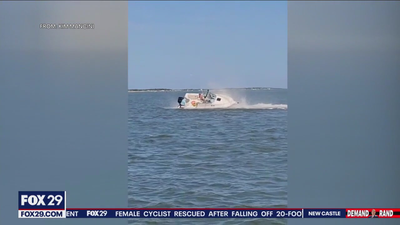 La ballena muere después de chocar con Boat Off Barnegat Bay, Nueva Jersey