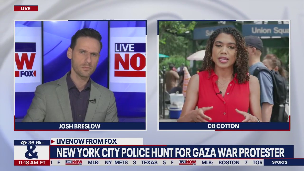 NYPD hunts for Gaza war protester