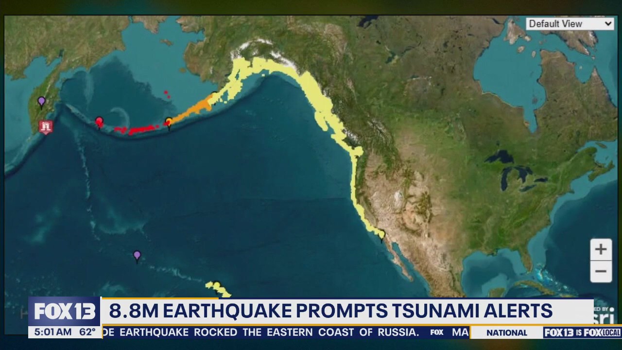 California tsunami fish