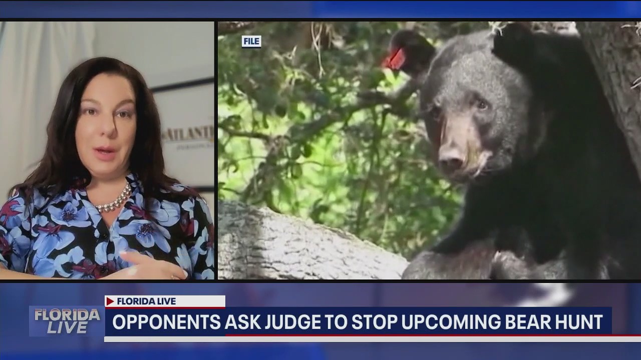 Opponents to bear hunt ask judge to halt hunt