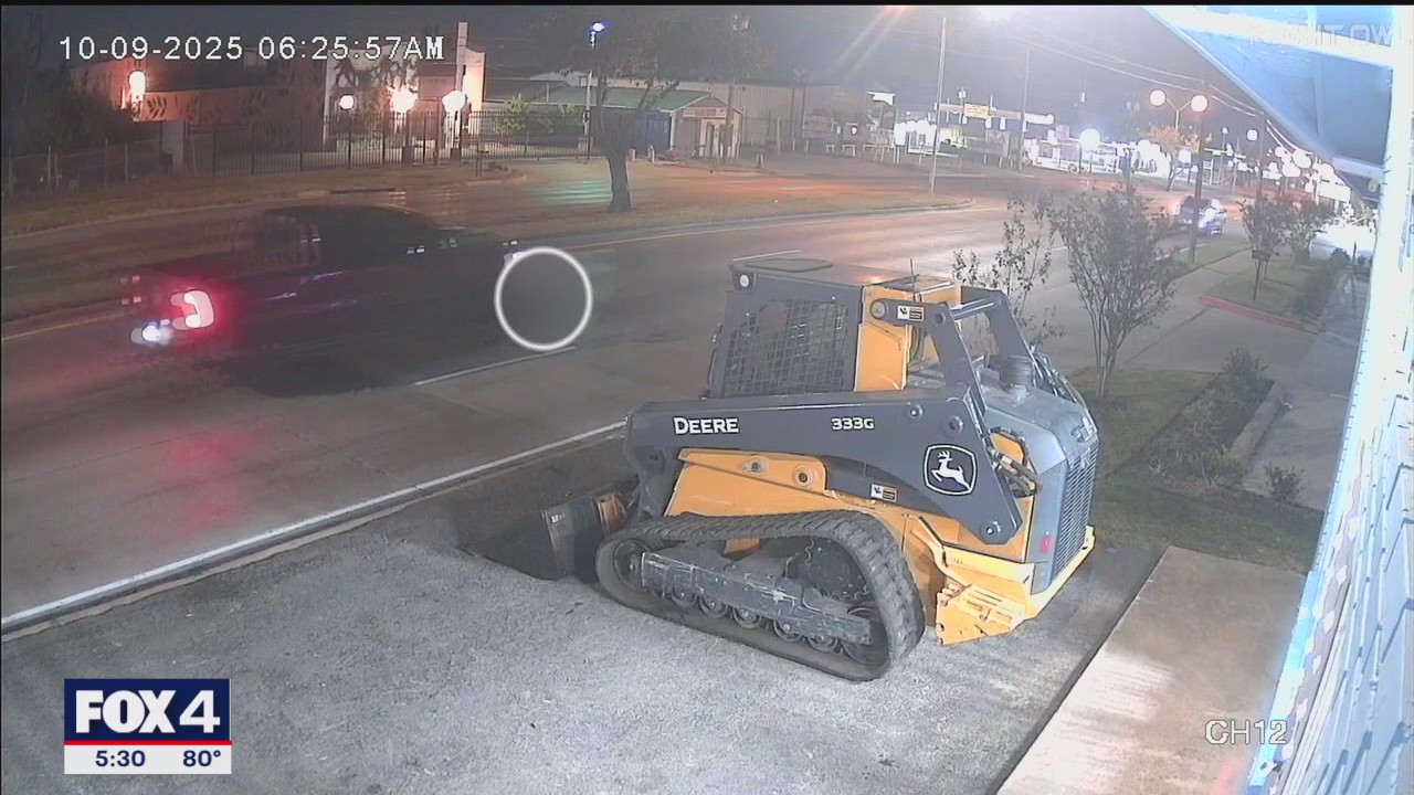 Trackdown: Driver wanted for hitting dog intentionally