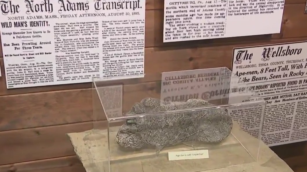 Georgia’s "monstrous" Bigfoot museum
