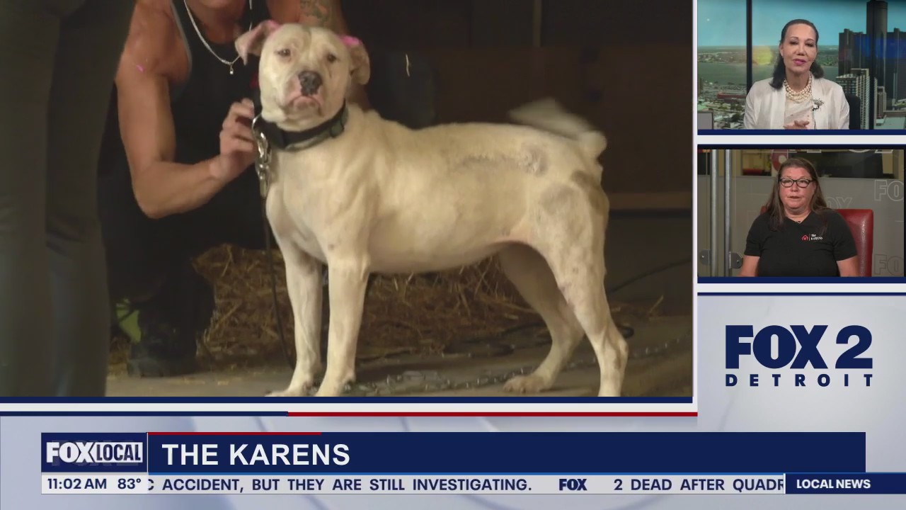 Lori's Stories The Karens Dog Rescue part 1