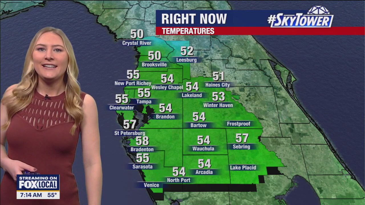 Tampa weather | Mild conditions for Christmas