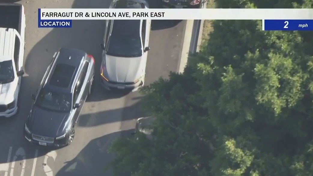 Chase suspect flies on wrong side of road
