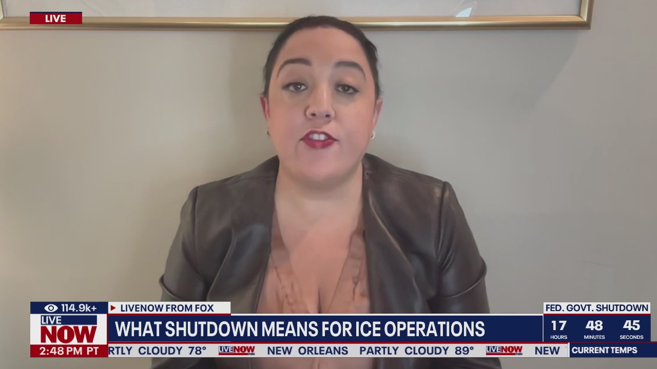 What government shutdown means for ICE operations