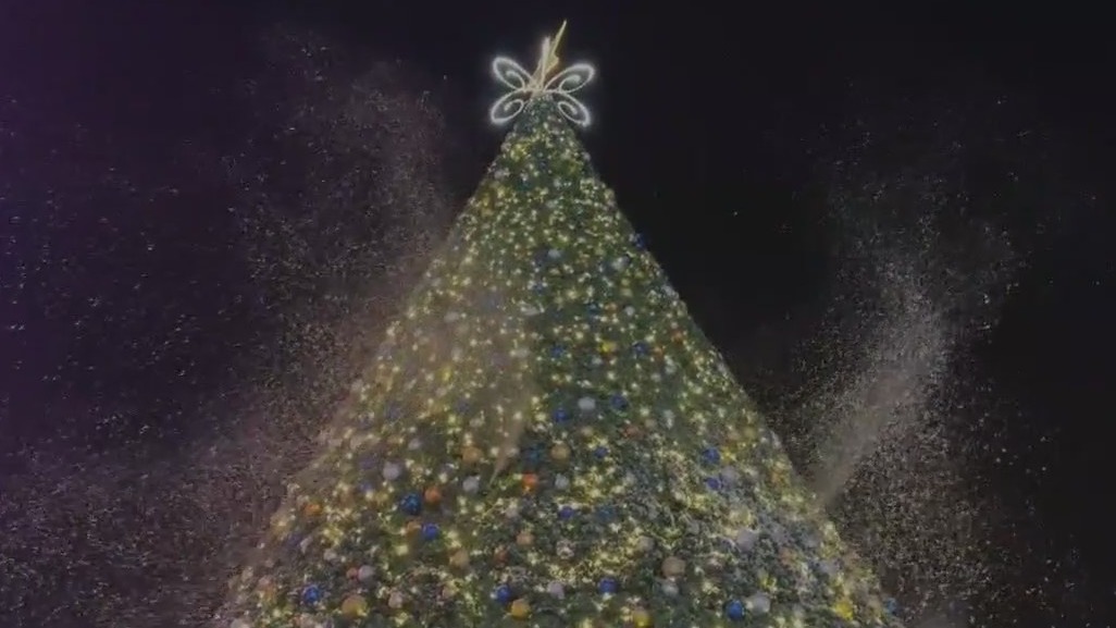 Thrive City lights up Bay Area's largest Christmas Tree