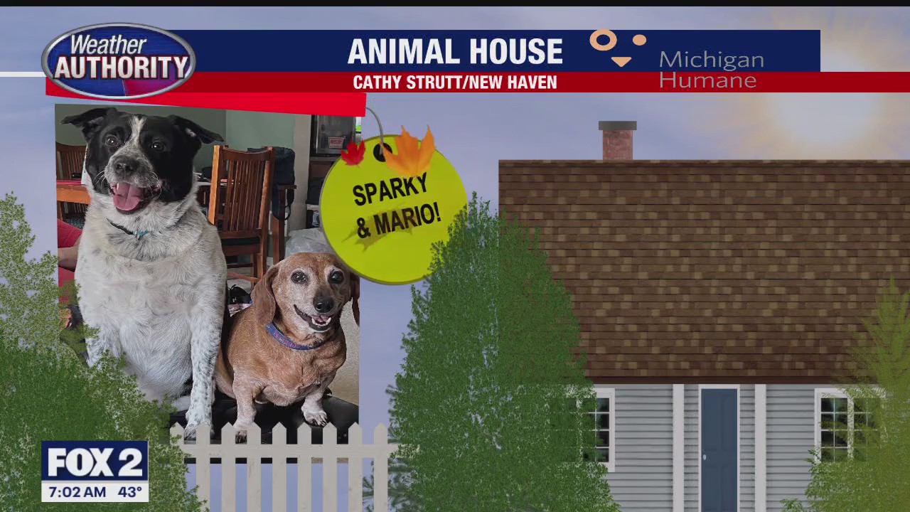 Welcome Morty, Sparky, Mario, Gracie