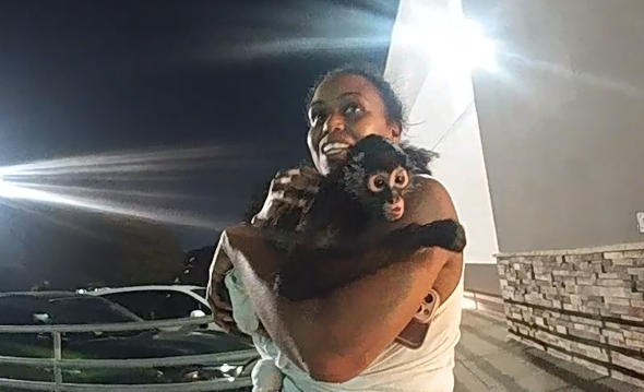 Bodycam shows owner leaving Spirit Halloween with monkey