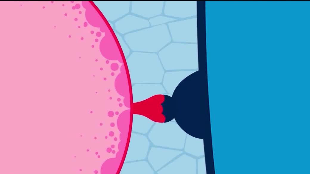 Study: Allergy spray could help protect against COVID-19