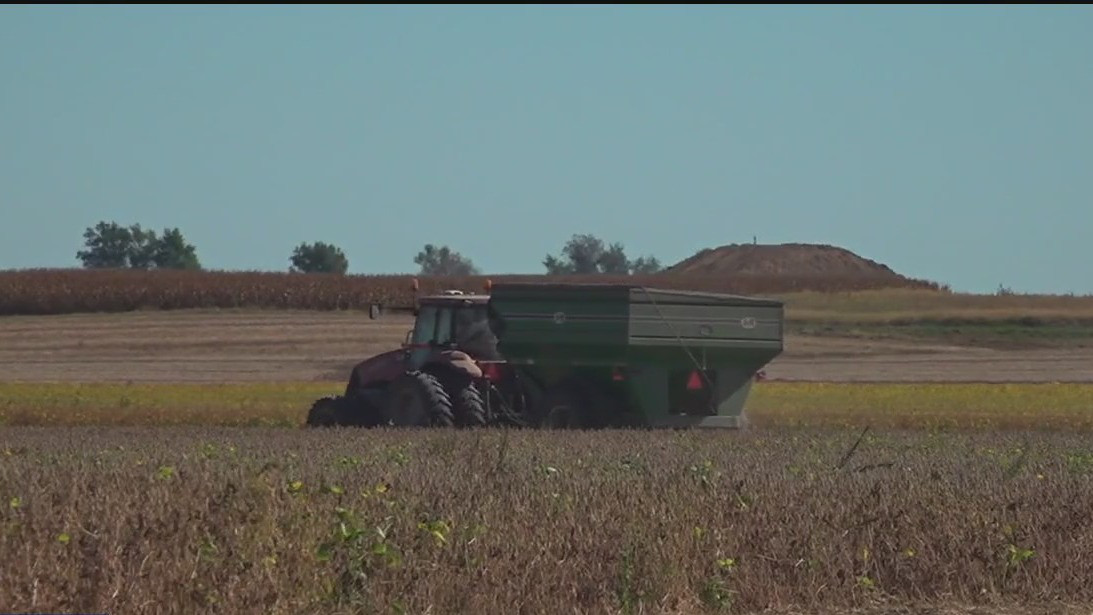 Tensions with China impacting soybean harvest