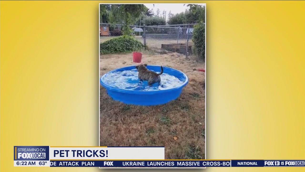 Pet Tricks for Friday, August 9