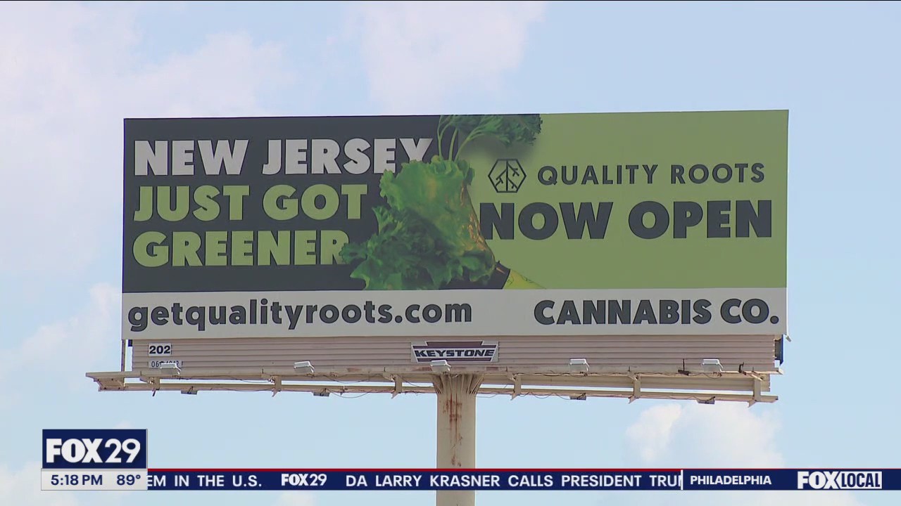 Billboard de Cannabis Co. Publicado en una ubicación de rasgadura en la cabeza en la I-95