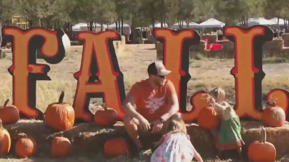 Uhland Fall Fest: Activities, food, games & more