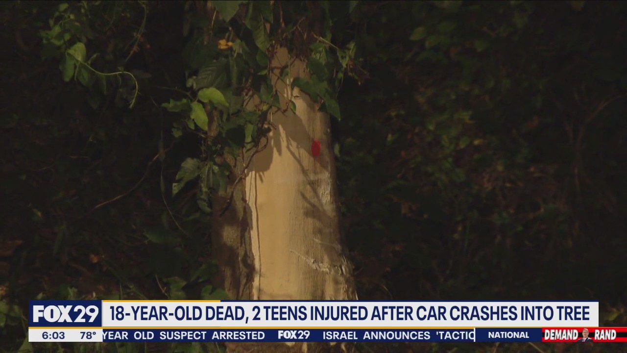 18-year-old dead, 2 teens injured after car crashes into tree in Bucks County