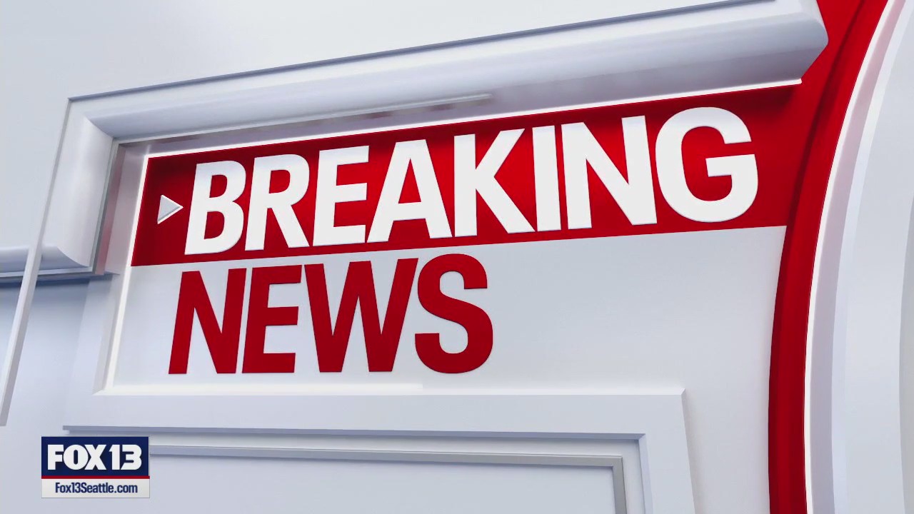 FOX 13 News at 10pm for Wednesday, 6/11