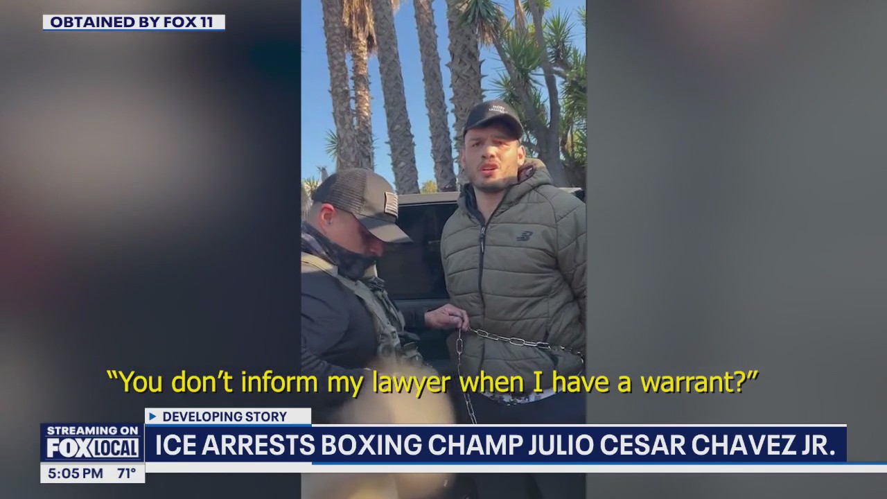 Boxer Julio Cesar Chavez Jr. arrested by DHS