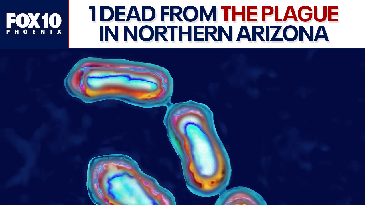 La persona muere por la peste en el norte de Arizona