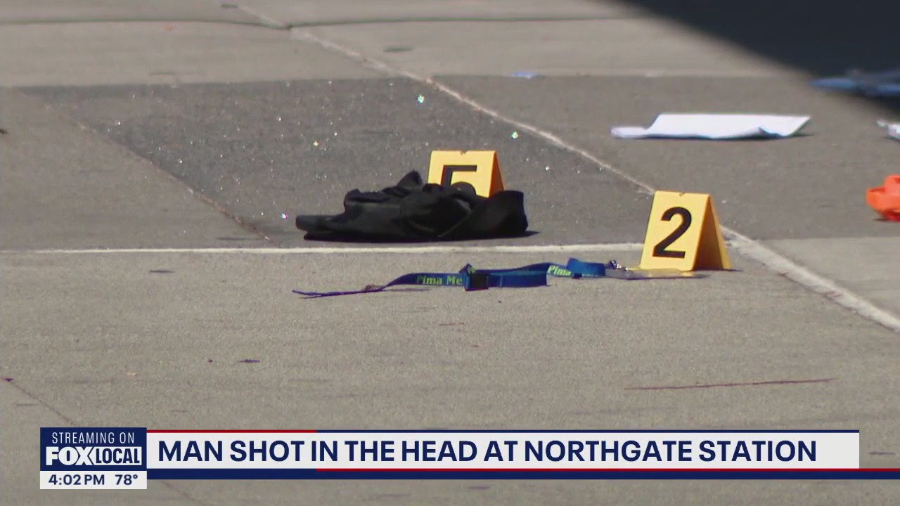 Seattle police searching for suspects after man shot in back of head