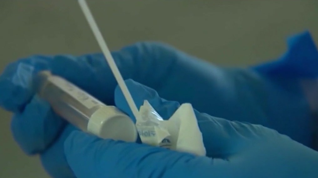 Novi podatki o cepivih proti COVID-19, pršilu za nos in finančnih nepravilnostih