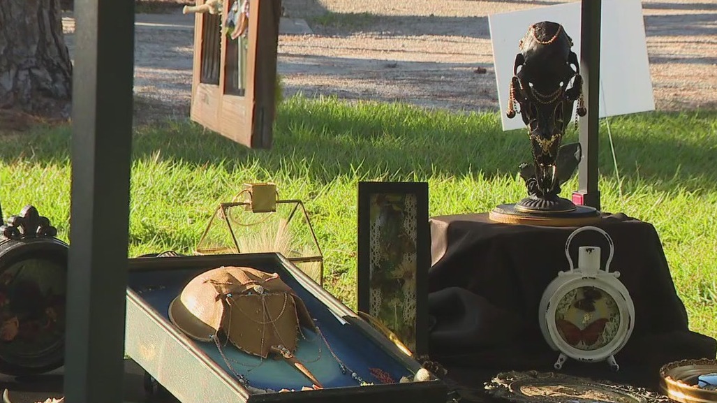 Charley's World | Wicked Wilds at McIntosh Preserve