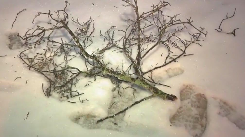 Wind chill worsens metro Atlanta freeze