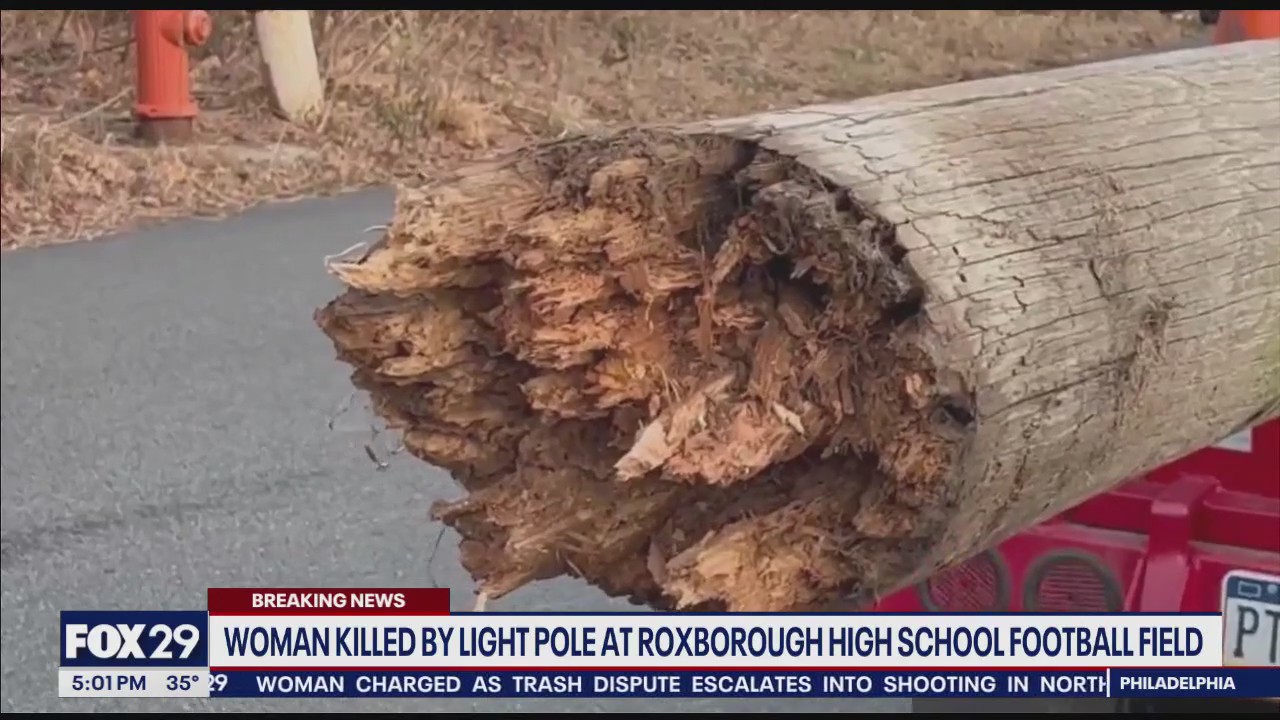 Woman killed by falling light pole blown by strong winds