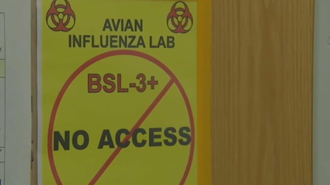 Bird flu to blame for Petaluma farm having to destroy 57,000 ducks