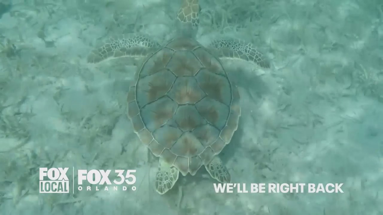 FOX 35 Late News at 11PM