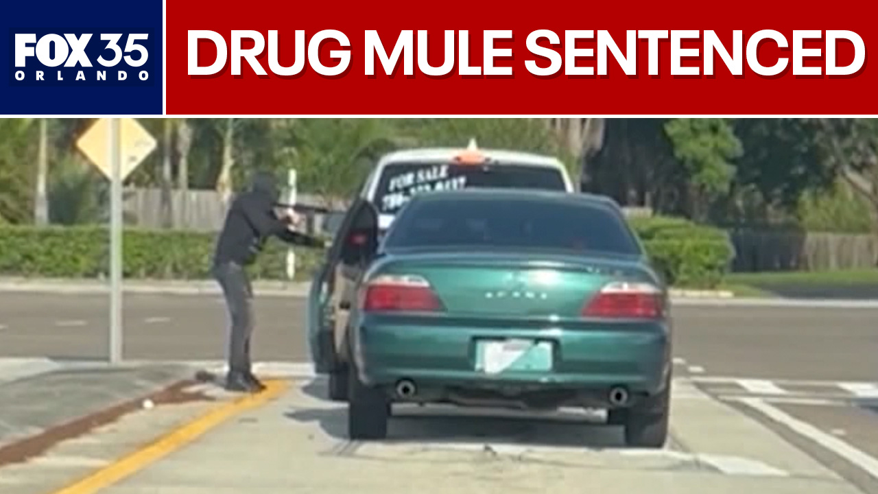 Florida cartel drug mule sentenced after wife's death