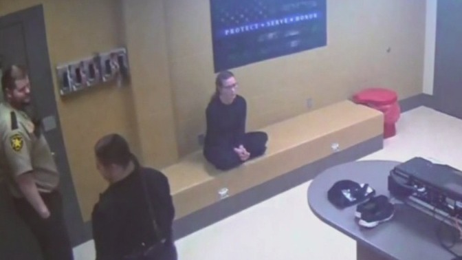 Sen. Nicole Mitchell trial: Mitchell's booking video [RAW]
