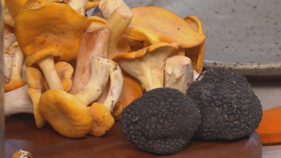 Gone foraging!