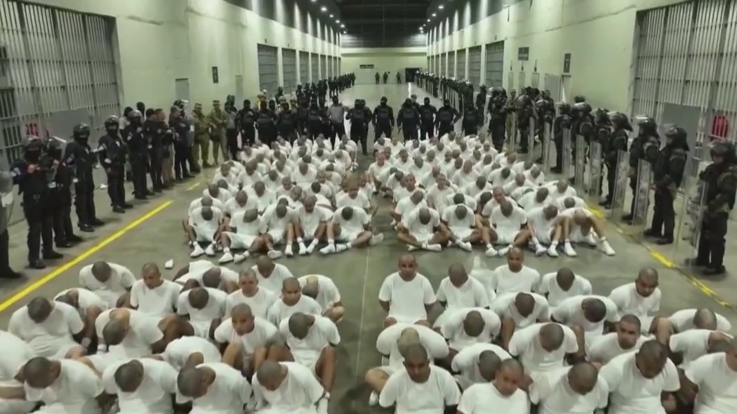 SUGGESTED COVERAGE: Trump deports hundreds of alleged gang members