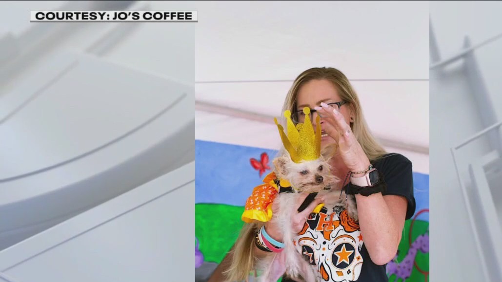 Jo's Coffee 8th annual Ugly Dog Contest