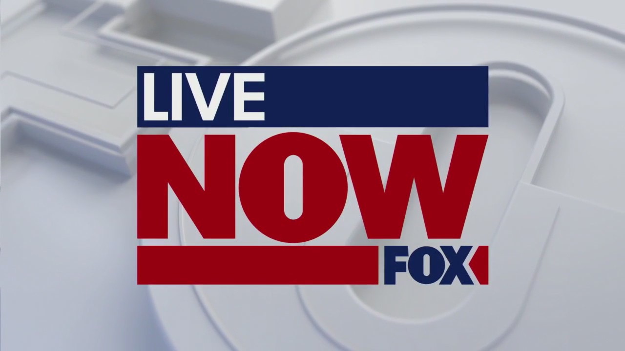 Lawmakers react to Trump-Musk feud