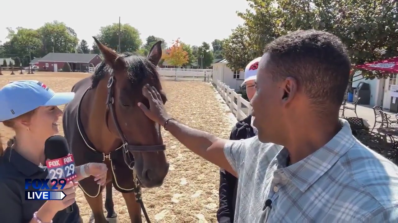 FOX 29 LIVE: Devon Horse Show