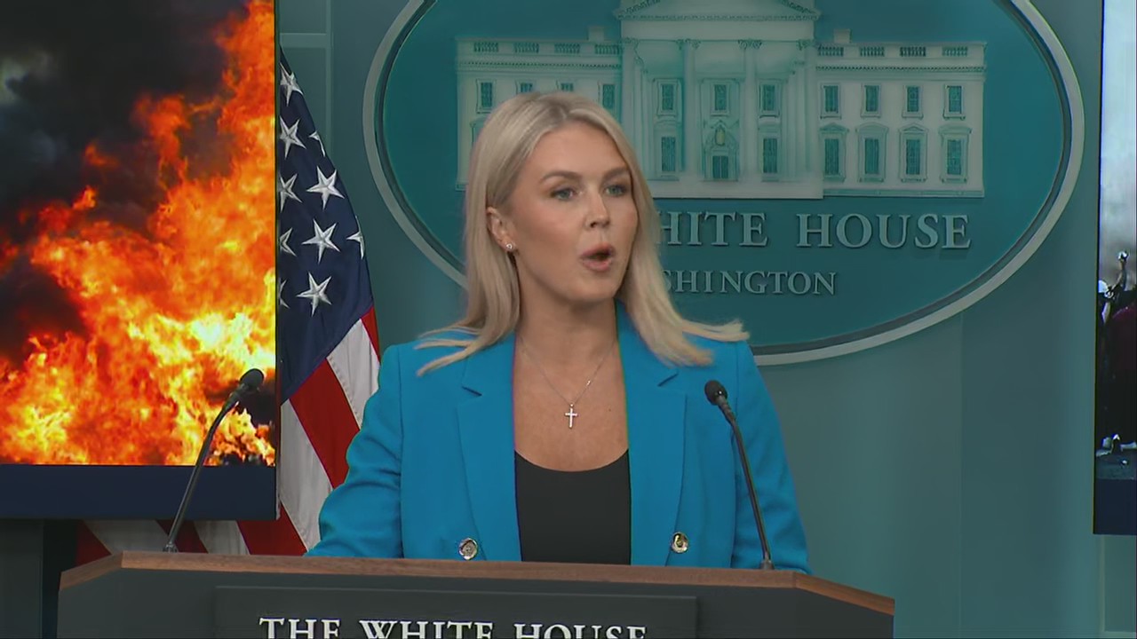 LA protests ‘disgraceful, shameful’: White House