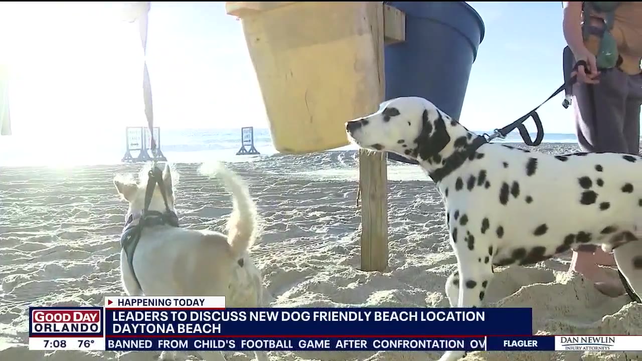 Volusia leaders to discuss new dog-friendly beach location