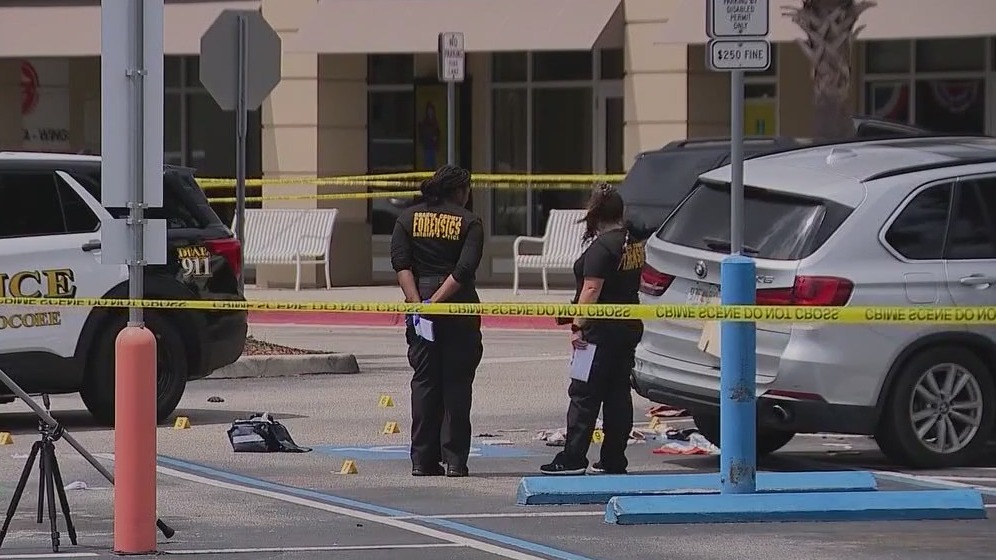 Driver shot while attempting to flee in stolen vehicle