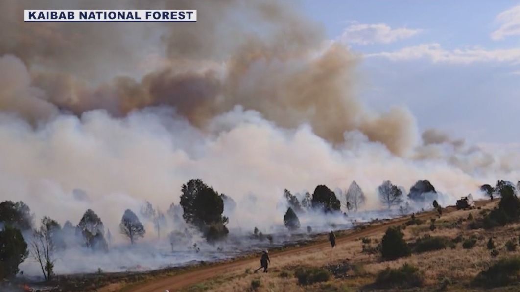 (related report): Crews making progress on northern Arizona wildfires