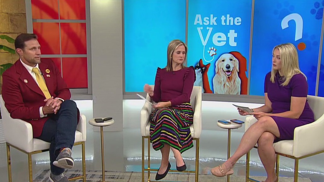 FOX 9 Good Day: Sept. 20, 2024