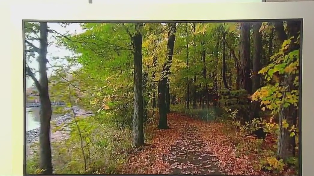 Finding fall colors in Minnesota