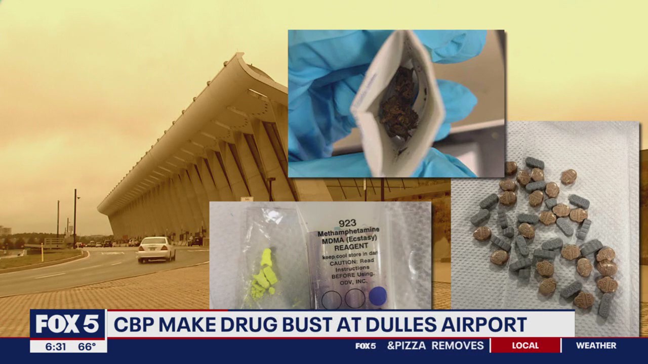 Dulles Airport dog Finds MDMA, mushrooms, and more in LA woman’s luggage