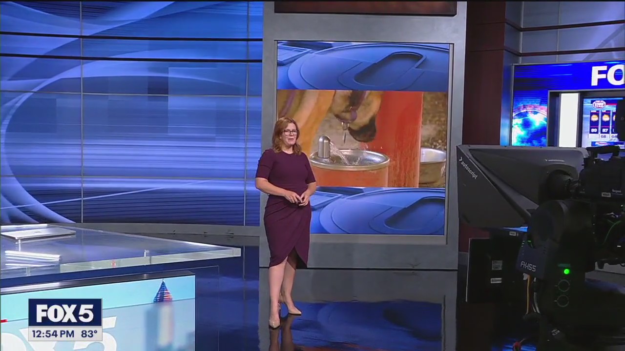 FOX 5 News at Noon Aug. 19, 2024