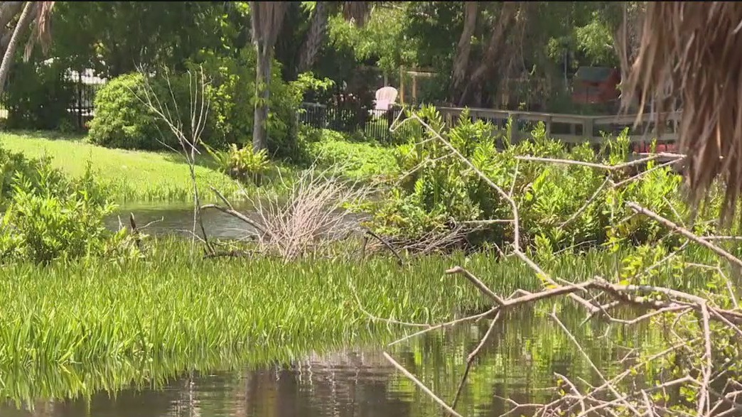 Officials address Phillippi Creek dredging frustration