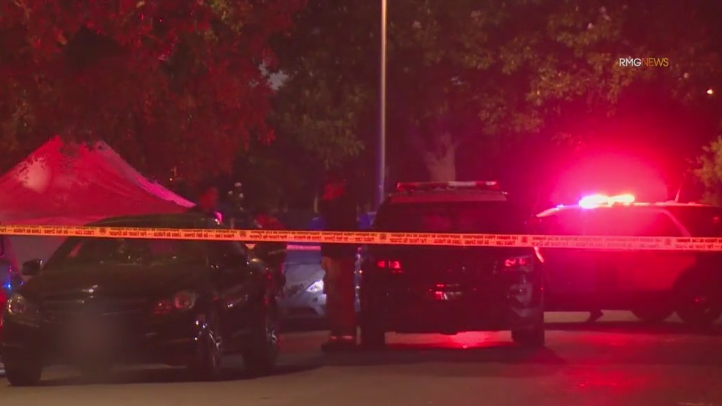 2 shot dead in South LA