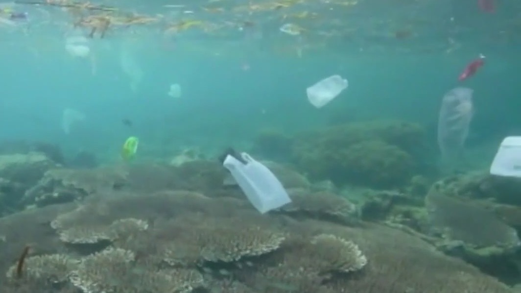 Report: States lagging in plastic pollution efforts